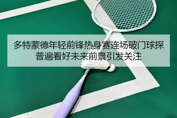 多特蒙德年轻前锋热身赛连场破门球探普遍看好未来前景引发关注